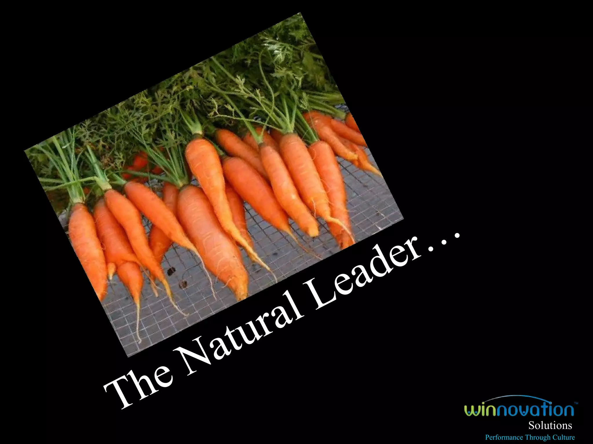 The Natural Leader…  Solutions Performance Through Culture 