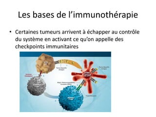 Les bases de l’immunothérapie
• Certaines tumeurs arrivent à échapper au contrôle
du système en activant ce qu’on appelle des
checkpoints immunitaires
 