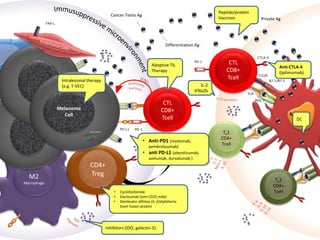 M2
Macrophage
Cancer Testis Ag
Differentiation Ag
B7.1/B7.2
Mature
DC
MHC I
CTLA-4
PD-1
TCR
CD28
CTL
CD8+
Tcell
Th1
CD4+
Tcell
Th2
CD4+
Tcell
PD-1
CTL
CD8+
Tcell
PD-L1
CD4+
Treg
Stop
Melanoma
Cell
Private Ag
• Cyclofosfamide
• Daclizumab (anti-CD25 mAb)
• Denileukin diftitox (IL-2/diphtheria
toxin fusion protein
IL-2
IFNa2b
Inhibitors (IDO, galectin-3).
• Anti-PD1 (nivolumab,
pembrolizumab)
• anti PD-L1 (atezolizumab,
avelumab, durvalumab )
Anti-CTLA-4
(Ipilimumab)
Adoptive TIL
Therapy
Peptide/protein
Vaccines
Intralesional therapy
(e.g. T-VEC)
DC
FAS-L
BRAF V600mut
 