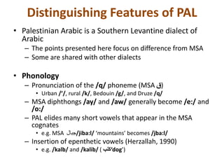 Distinguishing Features of PAL 
• Palestinian Arabic is a Southern Levantine dialect of 
Arabic 
– The points presented here focus on difference from MSA 
– Some are shared with other dialects 
• Phonology 
– Pronunciation of the /q/ phoneme (MSA (ق 
• Urban /’/, rural /k/, Bedouin /g/, and Druze /q/ 
– MSA diphthongs /ay/ and /aw/ generally become /e:/ and 
/o:/ 
– PAL elides many short vowels that appear in the MSA 
cognates 
• e.g. MSA جبال /jiba:l/ ‘mountains’ becomes /jba:l/ 
– Insertion of epenthetic vowels (Herzallah, 1990) 
• e.g. /kalb/ and /kalib/ ( كلب ‘dog’) 
 