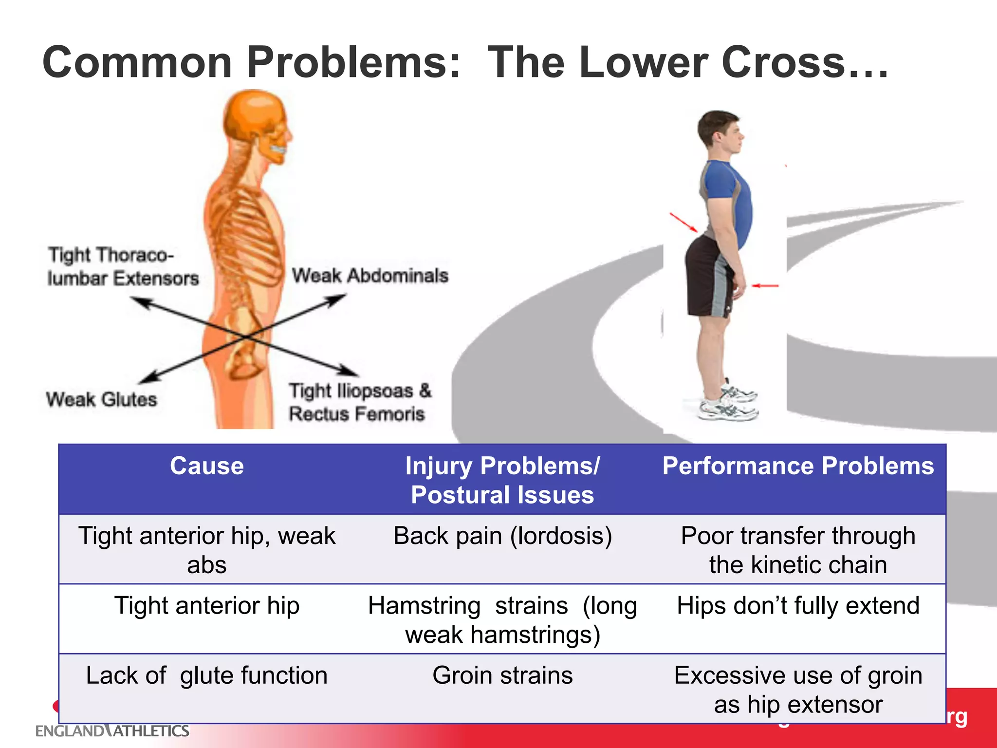 Common Problems: The Lower Cross… 
www.englandathletics.www.englandathleotricgs/e.oarsgt 
Cause Injury Problems/ 
Postural Issues 
Performance Problems 
Tight anterior hip, weak 
abs 
Back pain (lordosis) Poor transfer through 
the kinetic chain 
Tight anterior hip Hamstring strains (long 
weak hamstrings) 
Hips don’t fully extend 
Lack of glute function Groin strains Excessive use of groin 
as hip extensor 
 
