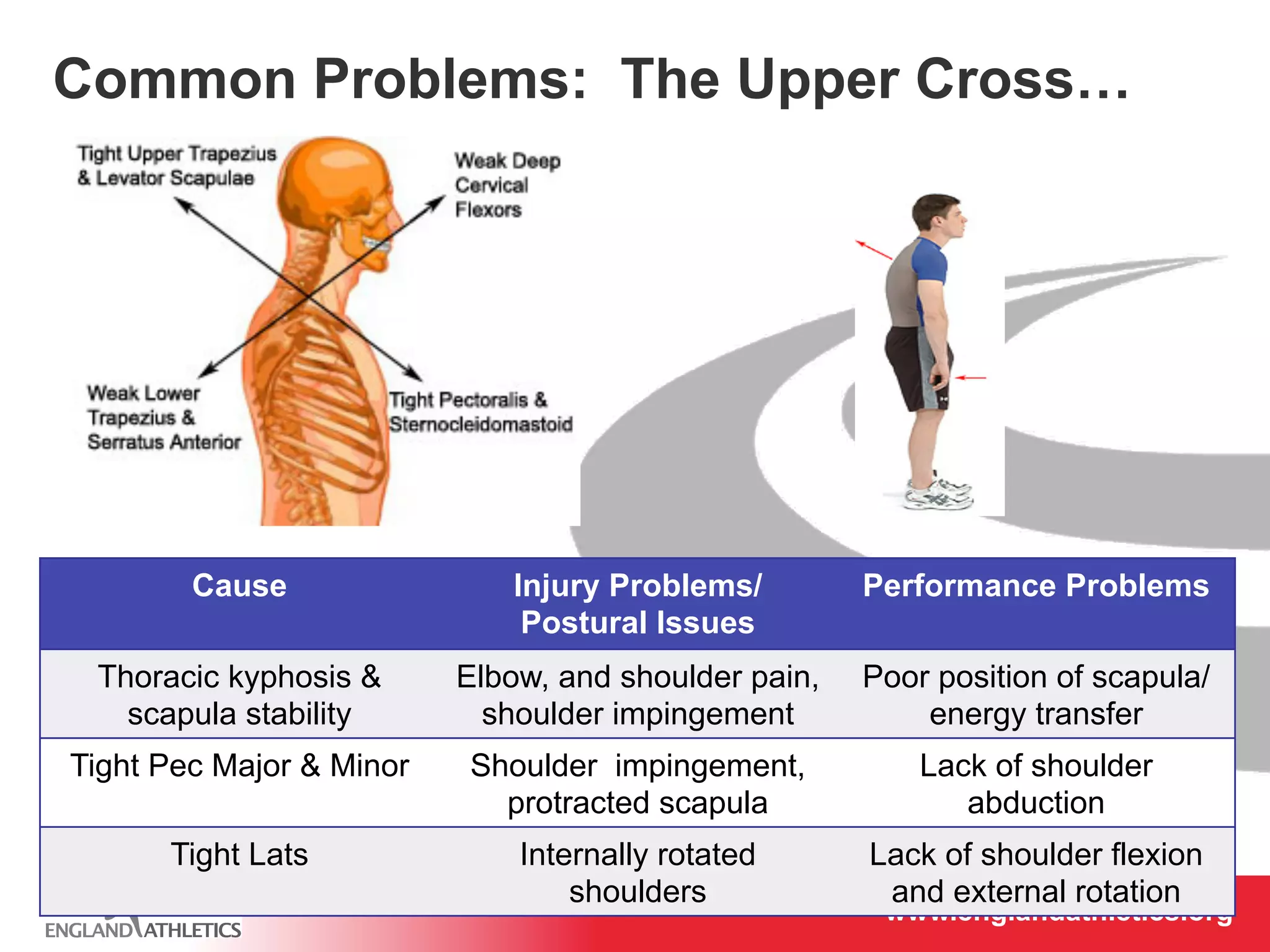 Common Problems: The Upper Cross… 
www.englandathletics.www.englandathleotricgs/e.oarsgt 
Cause Injury Problems/ 
Postural Issues 
Performance Problems 
Thoracic kyphosis & 
scapula stability 
Elbow, and shoulder pain, 
shoulder impingement 
Poor position of scapula/ 
energy transfer 
Tight Pec Major & Minor Shoulder impingement, 
protracted scapula 
Lack of shoulder 
abduction 
Tight Lats Internally rotated 
shoulders 
Lack of shoulder flexion 
and external rotation 
 