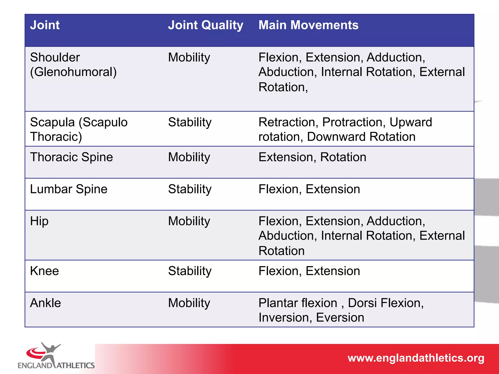 Joint Joint Quality Main Movements 
Shoulder 
(Glenohumoral) 
Mobility Flexion, Extension, Adduction, 
Abduction, Internal Rotation, External 
Rotation, 
www.englandathletics.www.englandathleotricgs/e.oarsgt 
Scapula (Scapulo 
Thoracic) 
Stability Retraction, Protraction, Upward 
rotation, Downward Rotation 
Thoracic Spine Mobility Extension, Rotation 
Lumbar Spine Stability Flexion, Extension 
Hip Mobility Flexion, Extension, Adduction, 
Abduction, Internal Rotation, External 
Rotation 
Knee Stability Flexion, Extension 
Ankle Mobility Plantar flexion , Dorsi Flexion, 
Inversion, Eversion 
 