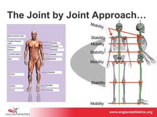 The Joint by Joint Approach… 
Mobility 
Stability 
Mobility 
Stability 
Mobility 
Stability 
Mobility 
www.englandathletics.www.englandathleotricgs/e.oarsgt 
 