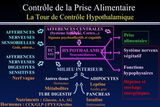 Contrôle de la Prise Alimentaire  La Tour de Contrôle Hypothalamique SNC HYPOTHALAMUS Neuromédiateurs Dépense et stockage énergétiques Autres tissus Hormones Métabolites ADIPOCYTES Leptine Acides gras TUBE DIGESTIF Nutriments :  Glucose, AA, AG Hormones :  CCK/GLP-1/PYY/Ghreline PANCREAS Insuline Entérostatine MILIEU INTERIEUR AFFERENCES NERVEUSES SENSORIELLES Goût, odorat... Prise alimentaire AFFERENCES CENTRALES (Système limbique, Cortex...) Signaux psychoaffectifs et cognitifs Système nerveux végétatif Fonctions hypophysaires AFFERENCES NERVEUSES DIGESTIVES SENSITIVES Nerf vague TC NTS 