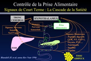 Contrôle de la Prise Alimentaire Signaux de Court Terme :   La Cascade de la Satiété HYPOTHALAMUS FOIE PANCREAS TISSU ADIPEUX TRONC CEREBRAL Blundell JE et al. annu Rev Nutr 1996 Signaux Humoraux - Peptides digestifs CCK, NT, GLP-1   Oxynto, PYY… Signaux Humoraux - Peptides digestifs CCK, NT, GLP-1   Oxynto, PYY… - Nutriments Signaux Humoraux - Peptides digestifs CCK, NT, GLP-1,   Oxynto, PYY… - Nutriments - Insuline Signaux Humoraux - Peptides digestifs CCK, NT, GLP-1,   Oxynto, PYY… - Nutriments - Insuline - Leptine Prise Alimentaire  Signaux Nerveux Sensoriels  Signaux Nerveux  Sensitifs Nerf Vague 