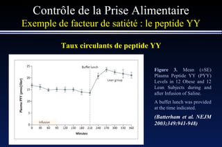 Contrôle de la Prise Alimentaire Exemple de facteur de satiété : le peptide YY Taux circulants de peptide YY Figure 3.  Mean (±SE) Plasma Peptide YY (PYY) Levels in 12 Obese and 12 Lean Subjects during and after Infusion of Saline.  A buffet lunch was provided at the time indicated. (Batterham et al. NEJM 2003;349:941-948) 