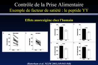 Contrôle de la Prise Alimentaire Exemple de facteur de satiété : le peptide YY Effets anorexigène chez l’humain (Batterham et al. NEJM 2003;349:941-948) 