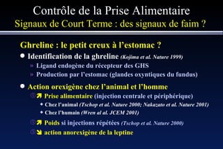 Contrôle de la Prise Alimentaire Signaux de Court Terme : des signaux de faim ?  Ghreline : le petit creux à l’estomac ? Identification de la ghreline  (Kojima et al. Nature 1999) Ligand endogène du récepteur des GHS Production par l’estomac (glandes oxyntiques du fundus) Action orexigène chez l’animal et l’homme    Prise alimentaire  (injection centrale et périphérique) Chez l’animal  (Tschop et al. Nature 2000; Nakazato et al. Nature 2001) Chez l’humain  (Wren al al. JCEM 2001)    Poids  si injections répétées   (Tschop et al. Nature 2000)    action anorexigène de la leptine 