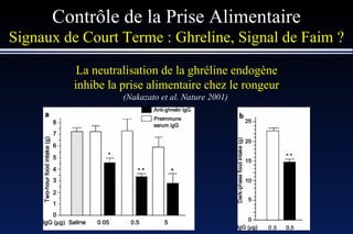 Contrôle de la Prise Alimentaire Signaux de Court Terme : Ghreline, Signal de Faim ? La neutralisation de la ghréline endogène inhibe la prise alimentaire chez le rongeur (Nakazato et al. Nature 2001)   