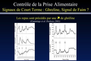 Contrôle de la Prise Alimentaire Signaux de Court Terme : Ghreline, Signal de Faim ? Les repas sont précédés par une    de ghréline (Cummings et al. Diabetes 2001)   
