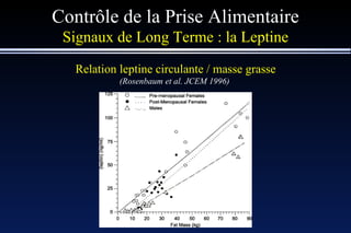 Contrôle de la Prise Alimentaire Signaux de Long Terme : la Leptine Relation leptine circulante / masse grasse (Rosenbaum et al. JCEM 1996)   