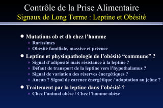 Mutations ob et db chez l’homme Rarissimes Obésité familiale, massive et précoce Leptine et physiopathologie de l’obésité  “ commune ”  ? Signal d’adiposité mais résistance à la leptine ? Défaut de transport de la leptine vers l’hypothalamus ? Signal de variation des réserves énergétiques ? Aucun ? Signal de carence énergétique / adaptation au jeûne ? Traitement par la leptine dans l’obésité ? Chez l’animal obèse / Chez l’homme obèse Contrôle de la Prise Alimentaire Signaux de Long Terme : Leptine et Obésité 