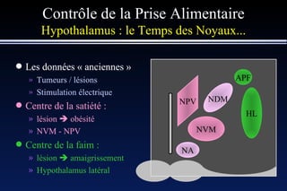Contrôle de la Prise Alimentaire Hypothalamus : le Temps des Noyaux... Les données « anciennes » Tumeurs / lésions Stimulation électrique NA NDM NPV NVM Les données « anciennes » Tumeurs / lésions Stimulation électrique Centre de la satiété : lésion     obésité NVM - NPV HL APF Les données « anciennes » Tumeurs / lésions Stimulation électrique Centre de la satiété : lésion     obésité NVM - NPV Centre de la faim : lésion    amaigrissement Hypothalamus latéral 