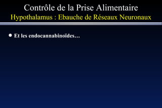Et les endocannabinoïdes…  Contrôle de la Prise Alimentaire Hypothalamus : Ebauche de Réseaux Neuronaux 