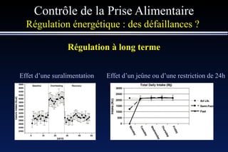 Contrôle de la Prise Alimentaire Régulation énergétique : des défaillances ?  Régulation à long terme Effet d’une suralimentation Effet d’un jeûne ou d’une restriction de 24h 