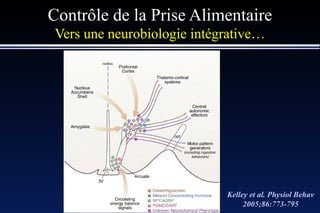 Contrôle de la Prise Alimentaire Vers une neurobiologie intégrative… Kelley et al. Physiol Behav 2005;86:773-795 