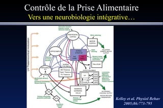 Contrôle de la Prise Alimentaire Vers une neurobiologie intégrative… Kelley et al. Physiol Behav 2005;86:773-795 