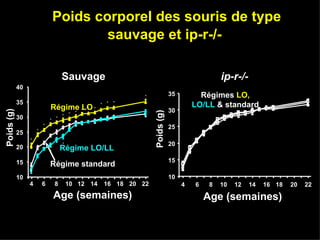 Poids corporel des souris de type sauvage et ip-r-/-   10 15 20 25 30 35 Age (semaines) Poids (g) Régimes  LO,  LO/LL  & standard ip-r-/- 4 6 8 10 12 14 16 18 20 22 10 15 20 25 30 35 40 * * * * * * * * * * * * * * * * * Age (semaines) Poids (g) Régime LO Régime LO/LL Régime standard Sauvage 4 6 8 10 12 14 16 18 20 22 
