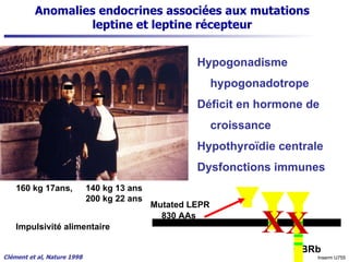 Anomalies endocrines associées aux mutations leptine et leptine récepteur Hypogonadisme hypogonadotrope Déficit en hormone de croissance Hypothyroïdie centrale Dysfonctions immunes Clément et al, Nature 1998 160 kg 17ans,  140 kg 13 ans 200 kg 22 ans OBRb 830 AAs Mutated LEPR Impulsivité alimentaire   Inserm U755 Ob-Rb Ob-Ra Ob-Rc Ob-Rd Mutation X X 