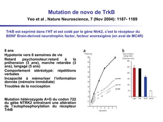 Mutation de novo de TrkB   Yeo et al , Nature Neuroscience, 7 (Nov 2004): 1187- 1189 8 ans Hypotonie vers 6 semaines de vie Retard psychomoteur:retard à la préhension (3 ans), marche retardée (3 ans), langage (5 ans) Comportement stéréotypé: répétitions verbales Incapacité à mémoriser l’information donnée (mémoire immédiate) Troubles de la nociception Mutation hétérozygote A>G du codon 722 du gèbe NTRK2 entraînant une altération de l’autophosphorylation du récepteur TrkB  TrkB est exprimé dans l’HT et est codé par le gène Ntrk2, c’est le récepteur du BDNF Brain-derived neurotrophic factor, facteur anorexigène (en aval de MC4R) 