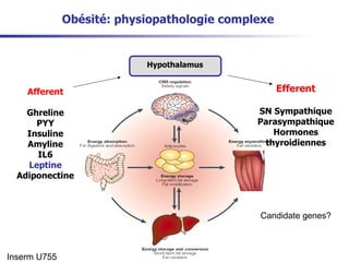 Obésité: physiopathologie complexe Afferent Ghreline PYY Insuline Amyline IL6 Leptine Adiponectine Efferent SN Sympathique Parasympathique Hormones thyroidiennes Candidate genes? Inserm U755 Hypothalamus 
