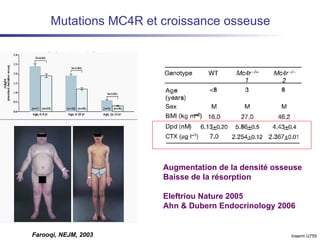 Mutations MC4R et croissance osseuse Farooqi, NEJM, 2003 Augmentation de la densité osseuse Baisse de la résorption Eleftriou Nature 2005 Ahn & Dubern Endocrinology 2006 Inserm U755 