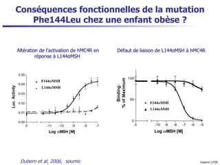 Conséquences fonctionnelles  de  la mutation Phe144Leu chez une enfant obèse ? Dubern et al, 2006,  soumis Inserm U755 Altération de l’activation de hMC4R en réponse à L144αMSH  Défaut de liaison de L144αMSH à hMC4R  
