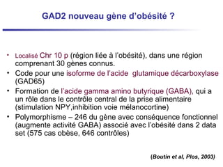 GAD2 nouveau gène d’obésité ?   Localisé  Chr 10 p  (région liée à l’obésité), dans une région comprenant 30 gènes connus. Code pour une  isoforme de l’acide  glutamique décarboxylase  (GAD65) Formation de  l’acide gamma amino butyrique (GABA),  qui a un rôle dans le contrôle central de la prise alimentaire (stimulation NPY,inhibition voie mélanocortine) Polymorphisme – 246 du gène avec conséquence fonctionnel (augmente activité GABA) associé avec l’obésité dans 2 data set (575 cas obèse, 646 contrôles) ( Boutin et al, Plos, 2003) 