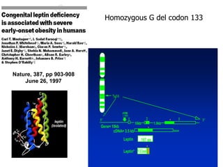Nature, 387, pp 903-908 June 26, 1997 Homozygous G del codon 133 