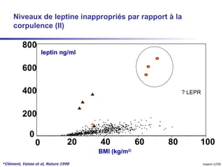 Niveaux de leptine inappropriés par rapport à la corpulence (II) *Clément, Vaisse et al, Nature 1998 Inserm U755 100 80 60 40 20 0 0 200 400 600 800 BMI (kg/m 2) leptin ng/ml ? LEPR 