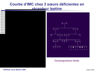 Courbe d’IMC chez 3 sœurs déficientes en récepteur leptine Consanguineous family *Clément, et al, Nature 1998 Inserm U755 
