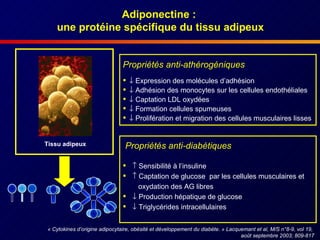 Adiponectine   :  une protéine spécifique du tissu adipeux «  Cytokines d’origine adipocytaire, obésité et développement du diabète.  »  Lacquemant et al, M/S n°8-9, vol 19,  août septembre 2003; 809-817 Propriétés anti-athérogéniques    Expression des molécules d’adhésion    Adhésion des monocytes sur les cellules endothéliales     Captation LDL oxydées    Formation cellules spumeuses     Prolifération et migration des cellules musculaires lisses Propriétés anti-diabétiques    Sensibilité à l’insuline    Captation de glucose  par les cellules musculaires et  oxydation des AG libres    Production hépatique de glucose    Triglycérides intracellulaires Tissu adipeux 