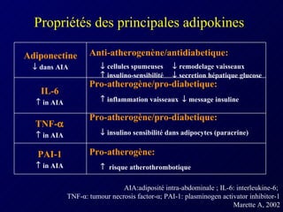 Propriétés des principales adipokines AIA:adiposité intra-abdominale ; IL-6: interleukine-6;  TNF- α : tumour necrosis factor- α ; PAI-1: plasminogen activator inhibitor-1 Marette A, 2002 Pro-atherogène:    risque atherothrombotique PAI-1    in AIA Pro-atherogène/pro-diabetique:    insulino sensibilité dans adipocytes (paracrine) TNF-     in AIA Pro-atherogène/pro-diabetique:    inflammation vaisseaux    message insuline IL-6    in AIA Anti-atherogenène/antidiabetique:    cellules spumeuses   remodelage vaisseaux   insulino-sensibilité   secretion hépatique glucose Adiponectine    dans AIA 