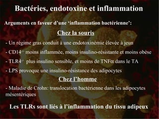 Chez la souris - Un régime gras conduit à une endotoxinémie élevée à jeun - CD14 -/-  moins inflammée, moins insulino-résistante et moins obèse - TLR4 -/-  plus insulino sensible, et moins de TNF  dans le TA - LPS provoque une insulino-résistance des adipocytes Les TLRs sont liés à l’inflammation du tissu adipeux Bactéries, endotoxine et inflammation Arguments en faveur d’une ‘inflammation bactérienne’: Chez l’homme - Maladie de Crohn: translocation bactérienne dans les adipocytes mésentériques 