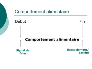 Début Fin Comportement alimentaire Comportement alimentaire Signal de faim Rassasiement/Satiété 