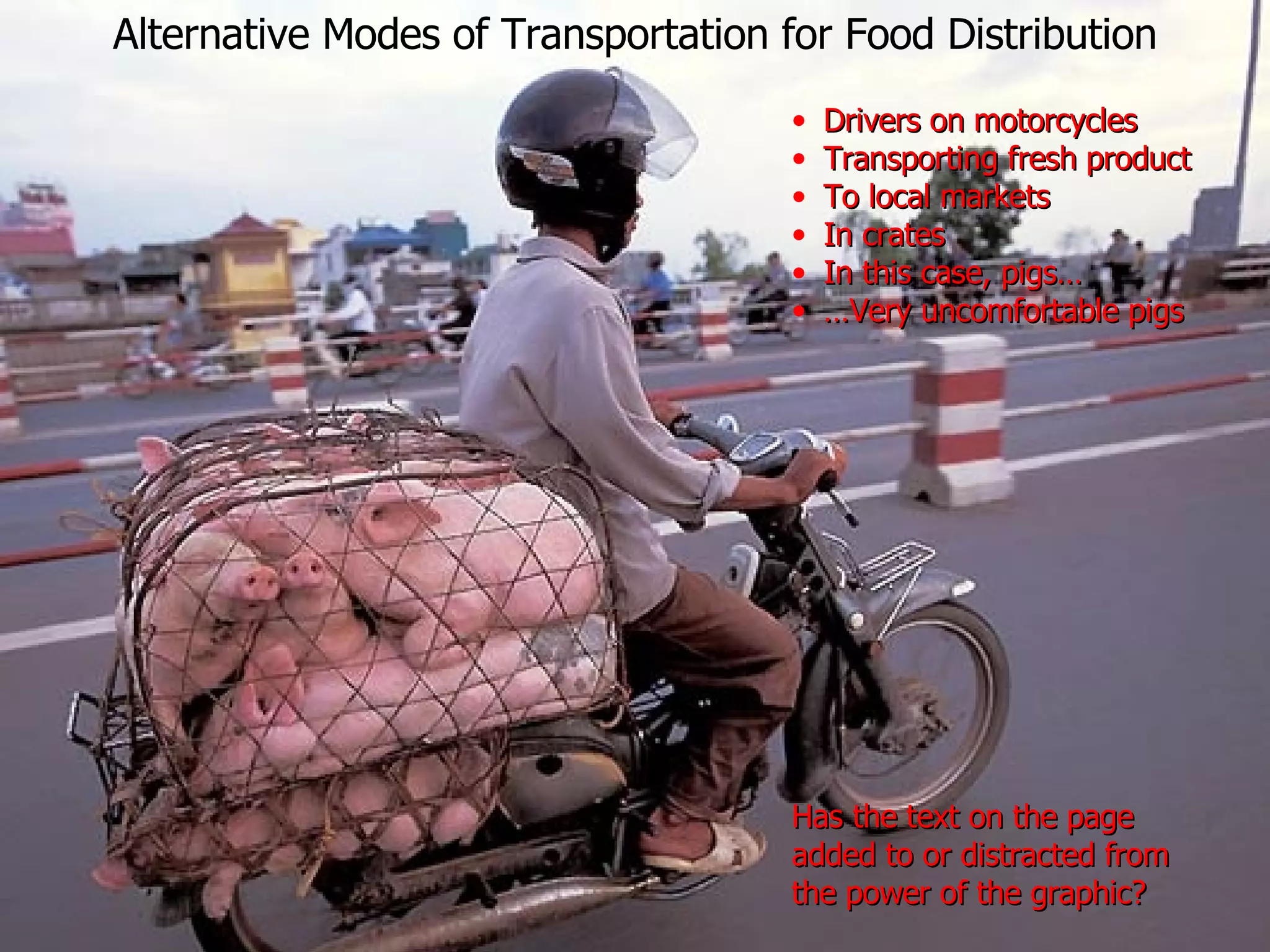 Alternative Modes of Transportation for Food Distribution Drivers on motorcycles Transporting fresh product To local markets In crates In this case, pigs… … Very uncomfortable pigs Has the text on the page added to or distracted from the power of the graphic? 