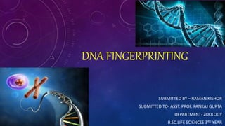 Presentation dna fingerprinting | PPTX