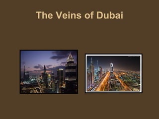 The Veins of Dubai 