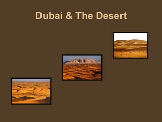 Dubai & The Desert 
