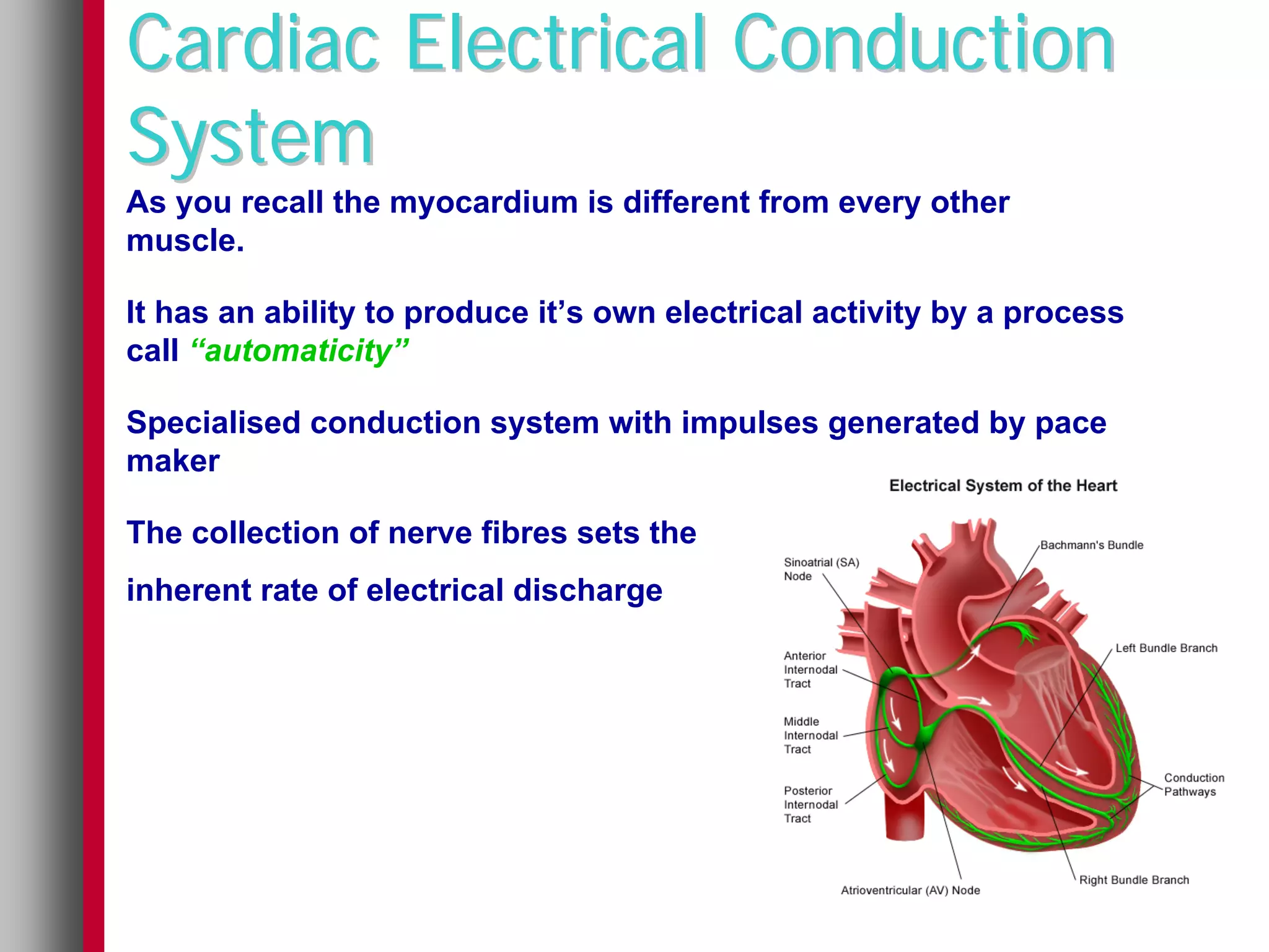 Cardiac Electrical Conduction
System
As you recall the myocardium is different from every other
muscle.

It has an ability to produce it’s own electrical activity by a process
call “automaticity”

Specialised conduction system with impulses generated by pace
maker

The collection of nerve fibres sets the
inherent rate of electrical discharge
 