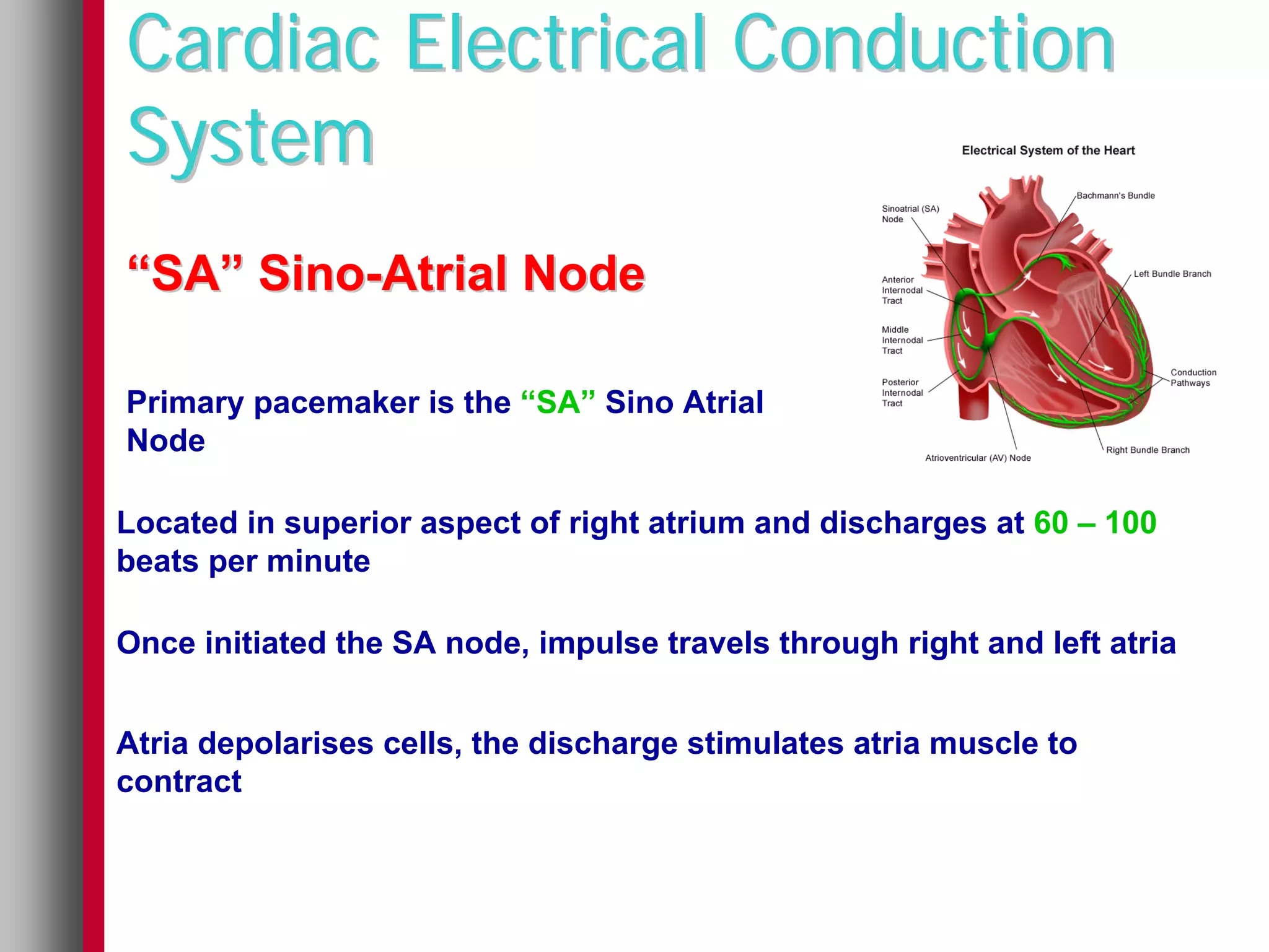 Cardiac Electrical Conduction
System
“SA” Sino-Atrial Node

Primary pacemaker is the “SA” Sino Atrial
Node

Located in superior aspect of right atrium and discharges at 60 – 100
beats per minute

Once initiated the SA node, impulse travels through right and left atria


Atria depolarises cells, the discharge stimulates atria muscle to
contract
 