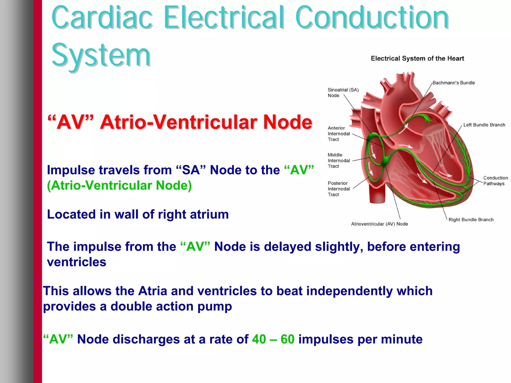 Cardiac Electrical Conduction
 System

“AV” Atrio-Ventricular Node

Impulse travels from “SA” Node to the “AV”
(Atrio-Ventricular Node)

Located in wall of right atrium

The impulse from the “AV” Node is delayed slightly, before entering
ventricles

This allows the Atria and ventricles to beat independently which
provides a double action pump

“AV” Node discharges at a rate of 40 – 60 impulses per minute
 