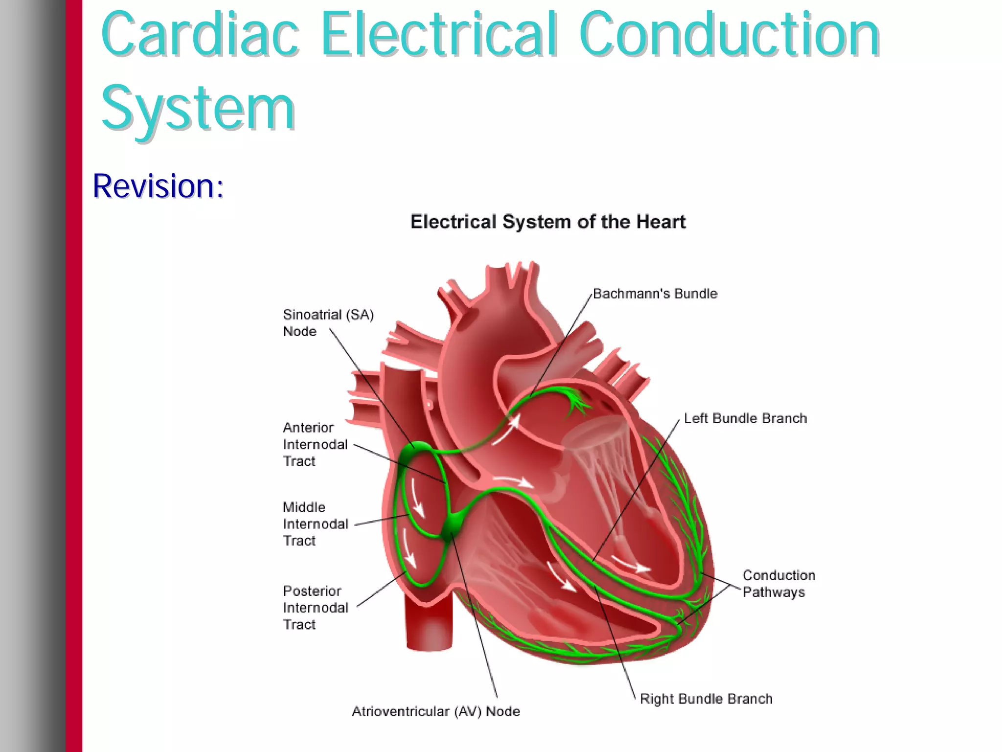 Cardiac Electrical Conduction
System
Revision:
 