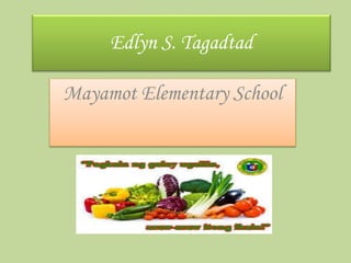 Edlyn S. Tagadtad
Mayamot Elementary School

 