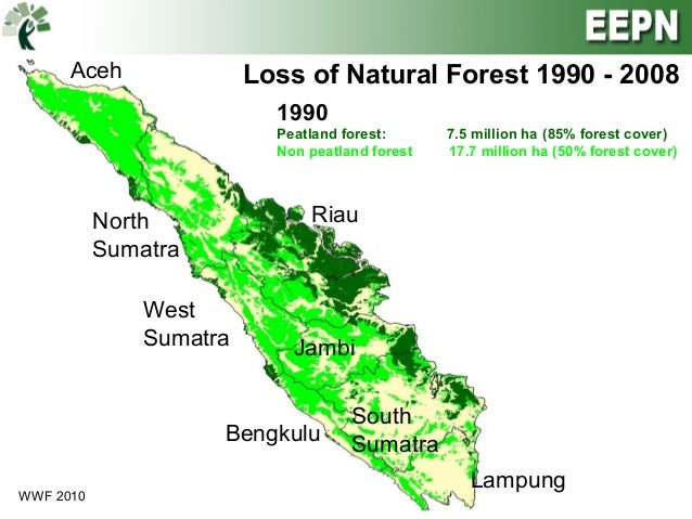 Deforestation for paper production
