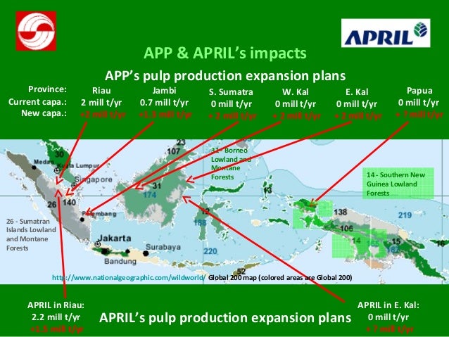 Deforestation for paper production