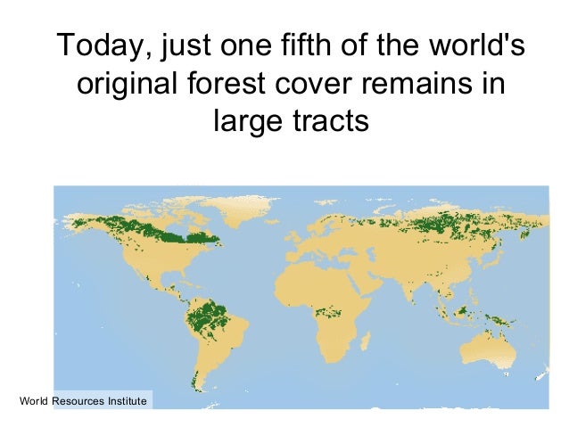 Deforestation for paper production