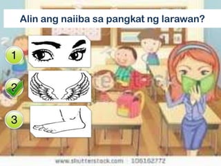 Alin ang naiiba sa pangkat ng larawan?
 