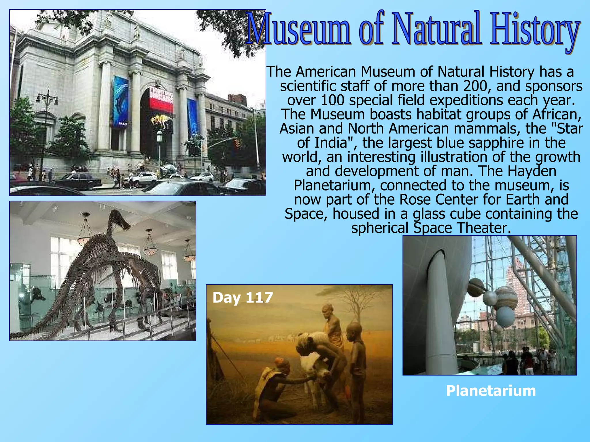 The American Museum of Natural History   has a scientific staff of more than 200, and sponsors over 100 special field expeditions each year. The Museum boasts habitat groups of African, Asian and North American mammals, the "Star of India", the largest blue sapphire in the world,   an interesting illustration of the growth and development of man. The Hayden Planetarium, connected to the museum, is now part of the Rose Center for Earth and Space, housed in a glass cube containing the spherical Space Theater. Museum of Natural History Planetarium Day 117 